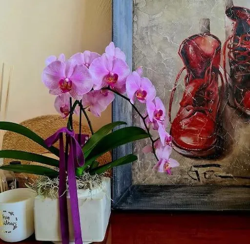 Il Gioiello Nel Cuore Di