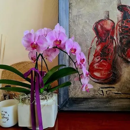 Il Gioiello Nel Cuore Di